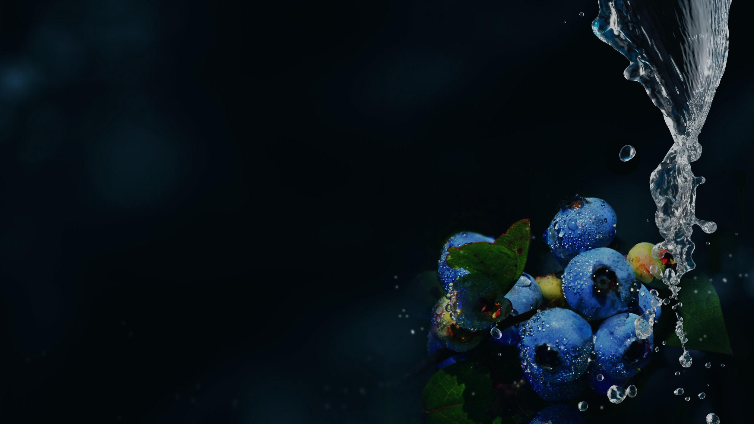 黑背景蓝莓